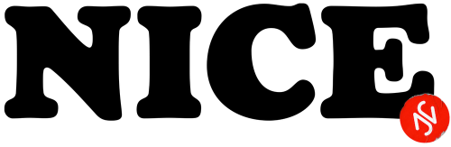 NICE SHOES Logo